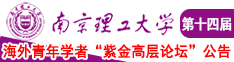 日逼淫荡婊子视频南京理工大学第十四届海外青年学者紫金论坛诚邀海内外英才！